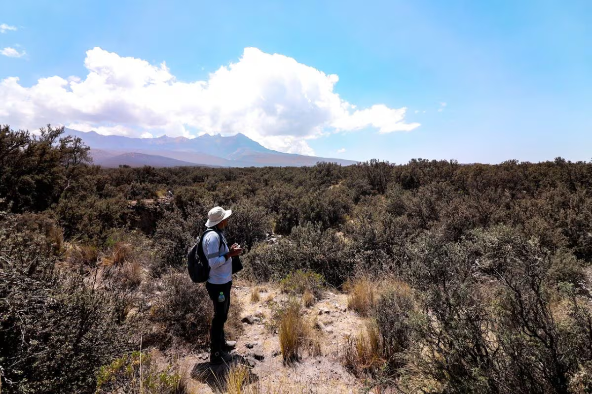 Cambios normativos retrasan reconocimiento de 26 ecosistemas frágiles en Arequipa