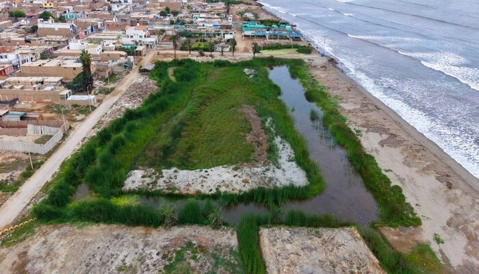 Recuperan humedales y refuerzan protección ambiental en bahía de Paracas