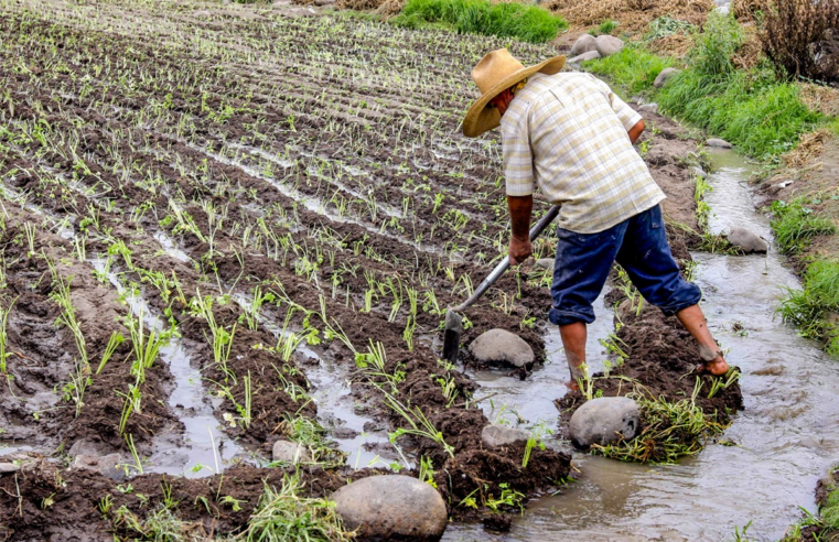 Agricultores piden seguridad hídrica y que el nuevo Gobierno no los abandone