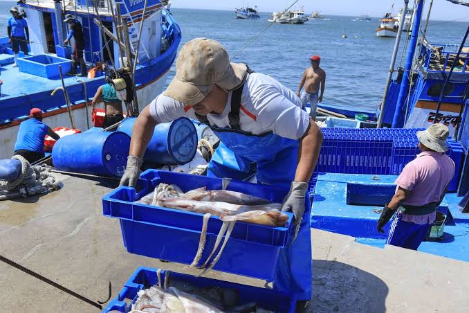 Día del Pescador; las manos que traen la riqueza del mar a nuestra mesa