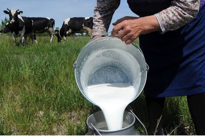 “El Estado peruano es injusto con sus productores de alimentos”