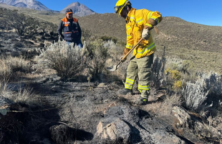 Incendio forestal en Salinas y Aguada Blanca dañó especies nativas