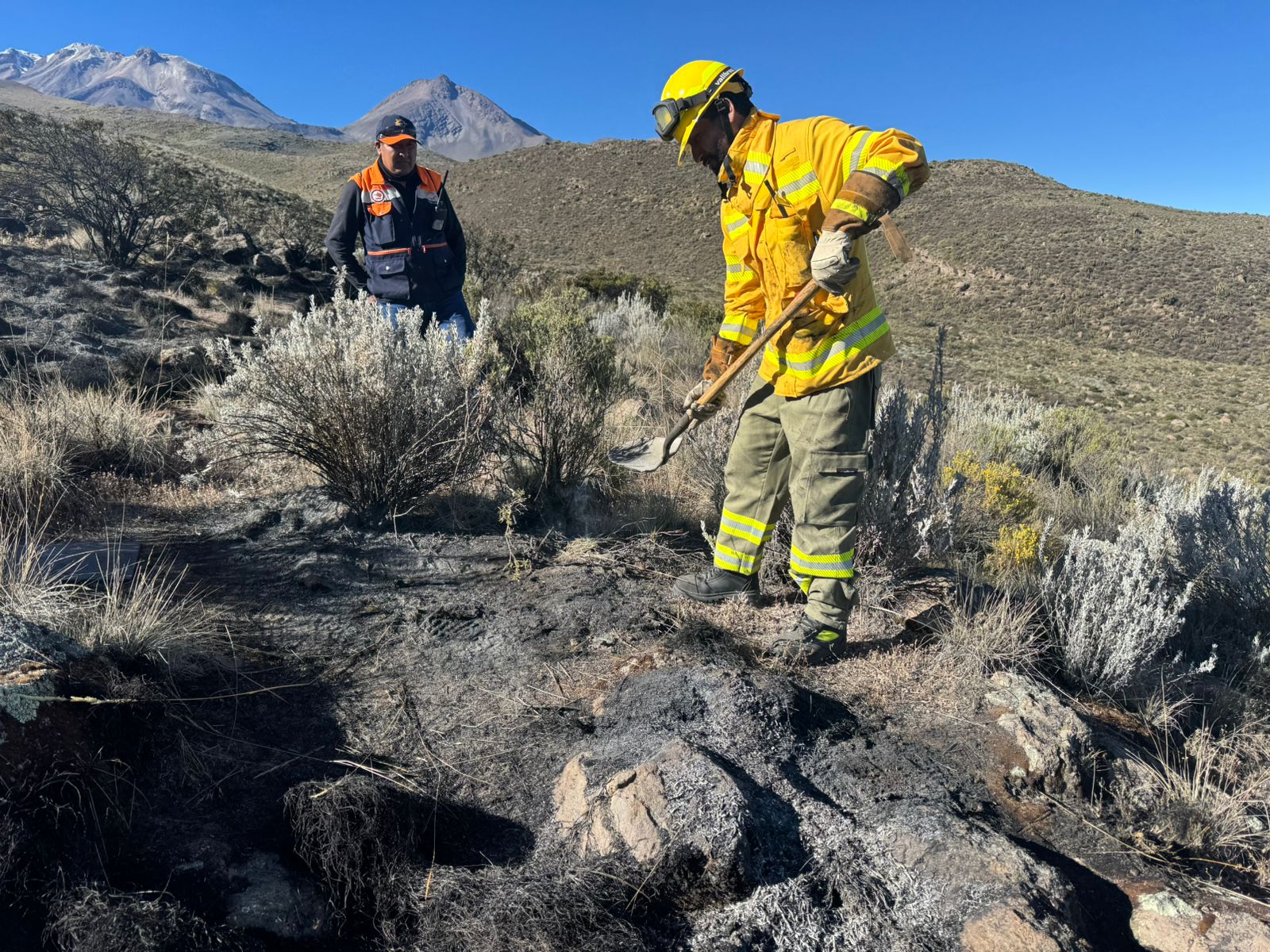 Incendio forestal en Salinas y Aguada Blanca dañó especies nativas