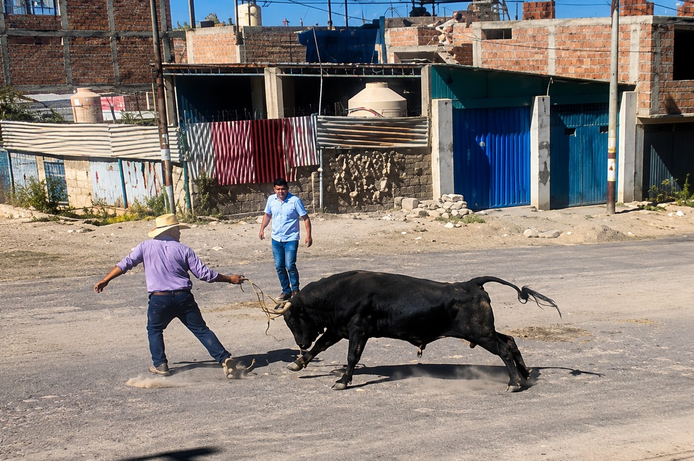 Toro corneó a cuidador en el distrito de Cerro Colorado