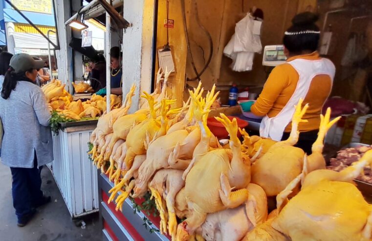 Alarma por alza en el precio del pollo y desabastecimiento de pescado