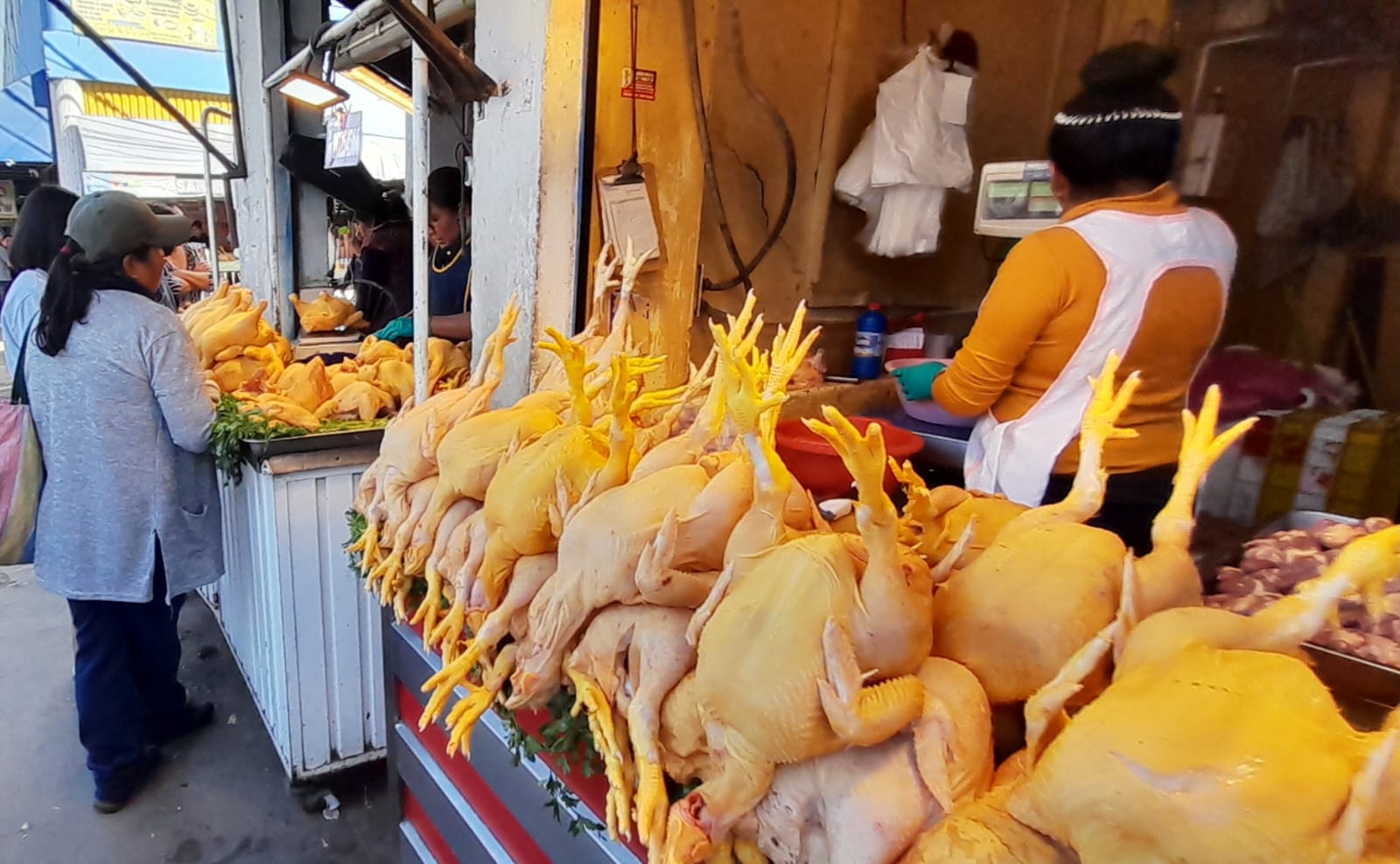 Alarma por alza en el precio del pollo y desabastecimiento de pescado