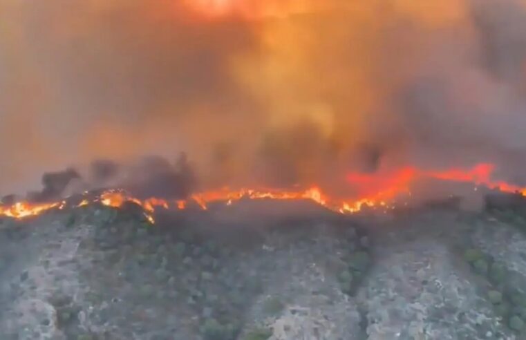 Incendio forestal en el sur de España deja 12 fallecidos y obliga a evacuar