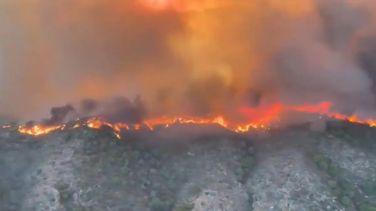 Incendio forestal en el sur de España deja 12 fallecidos y obliga a evacuar