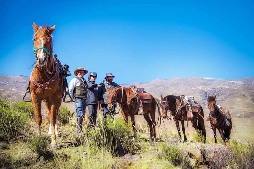 Yanque reunirá a cabalgantes de todo el sur en el Andes Rodeo Fest 2026