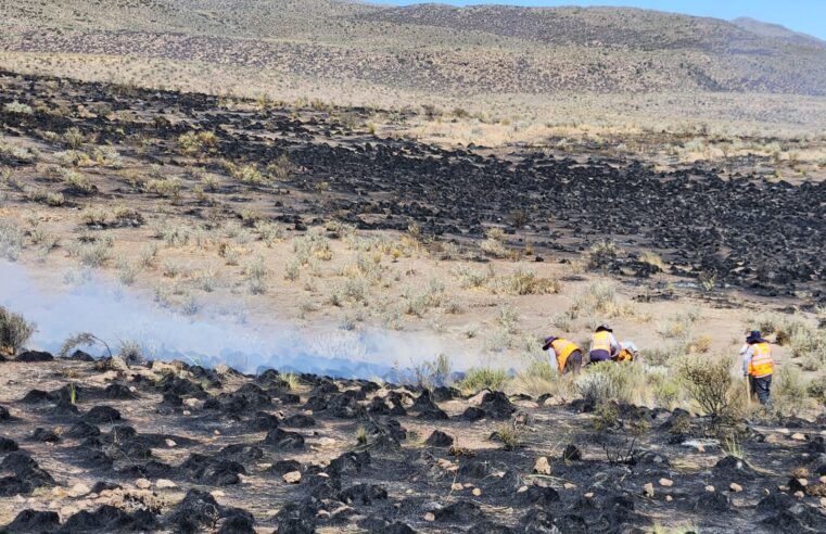 Incendios forestales por presunta negligencia humana arrasan casi mil hectáreas en Arequipa
