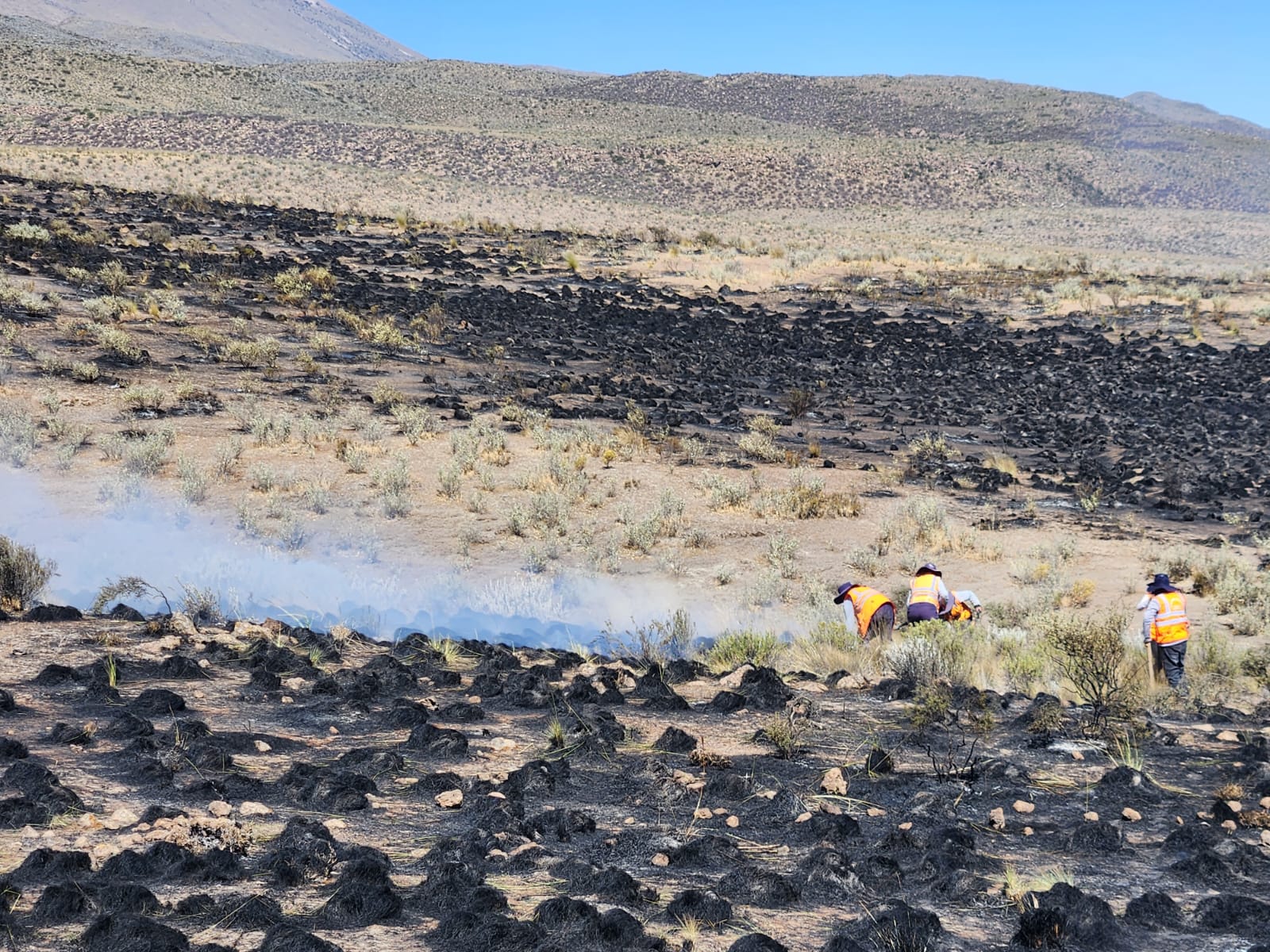Incendios forestales por presunta negligencia humana arrasan casi mil hectáreas en Arequipa