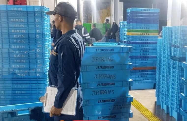 Policía decomisa 249 kilos de bonito extraído de manera ilegal en Atico