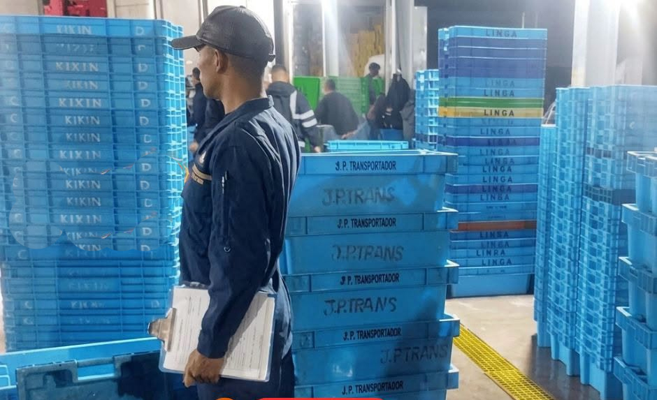 Policía decomisa 249 kilos de bonito extraído de manera ilegal en Atico