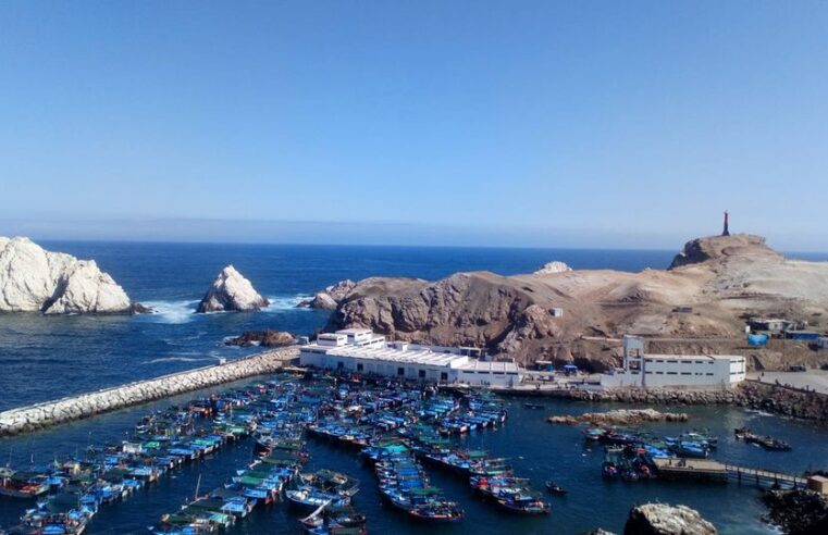 Puertos modernos y protección al mar son los pedidos de la Macro Sur de la Pesca Artesanal al nuevo gobierno