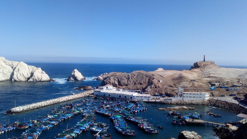 Puertos modernos y protección al mar son los pedidos de la Macro Sur de la Pesca Artesanal al nuevo gobierno