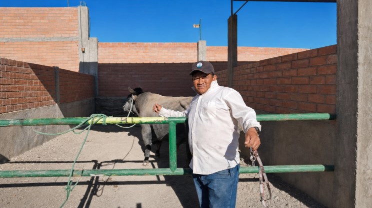 Preparador quedó grave tras cornada de toro en Socabaya