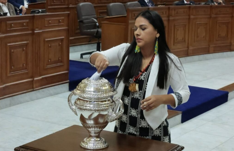 JP suspende a Silvana Robles por no mostrar su voto en elección del Senado