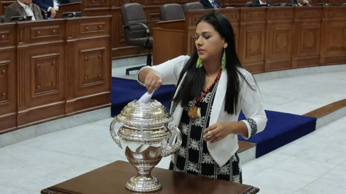 JP suspende a Silvana Robles por no mostrar su voto en elección del Senado
