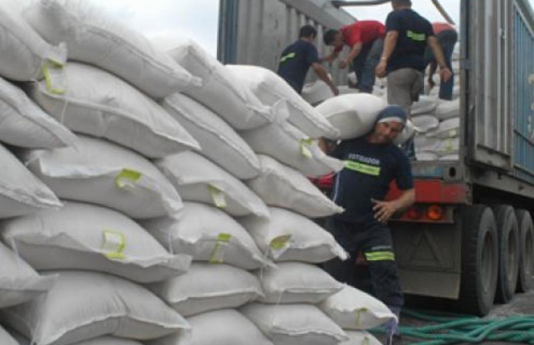 Agricultores de la región vendieron arroz al Estado por S/ 1.7 millones