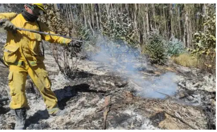 Incendios forestales mantienen en alerta a Puno y Cusco