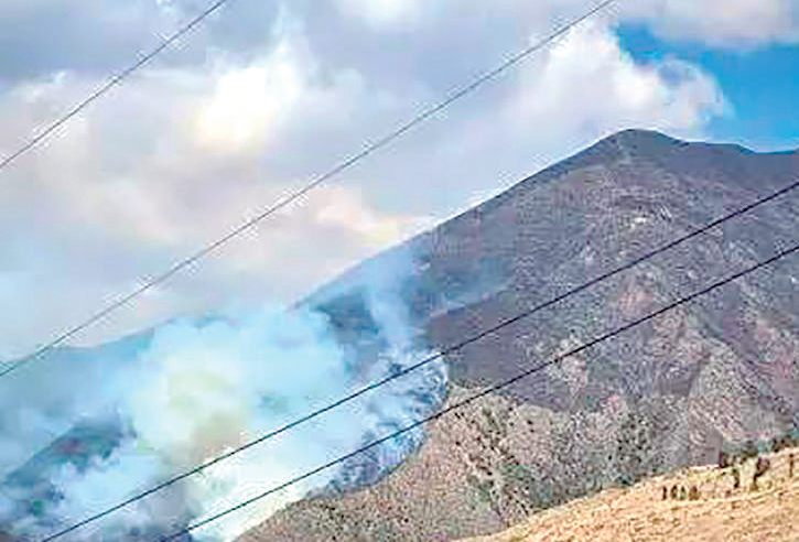 Dos incendios forestales arrasan más de 35 hectáreas de vegetación nativa