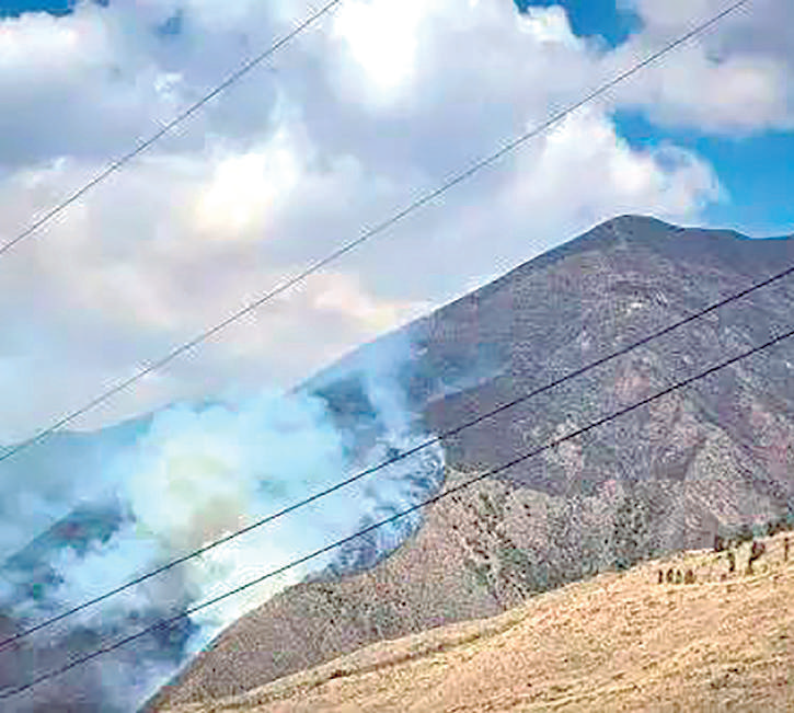 Dos incendios forestales arrasan más de 35 hectáreas de vegetación nativa