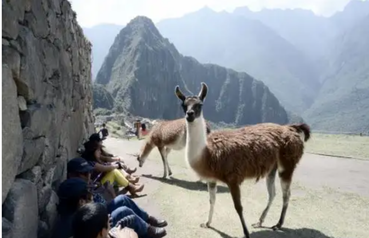 Machu Picchu celebra 19 años como una de las siete maravillas del mundo