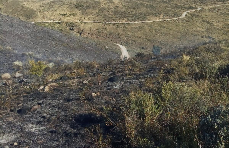 Incendio forestal afecta cobertura vegetal en Chiguata