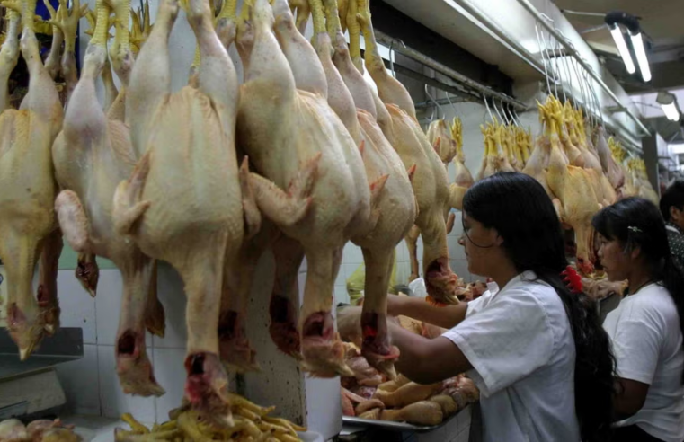Precio del pollo sube 27 % en un mes y supera S/11 por kilo en mercados