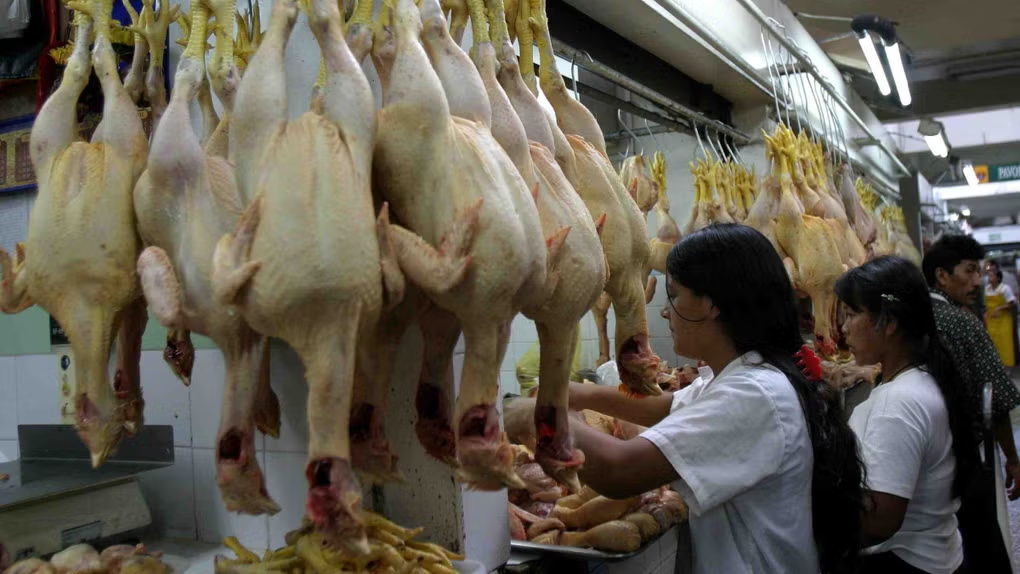 Precio del pollo sube 27 % en un mes y supera S/11 por kilo en mercados