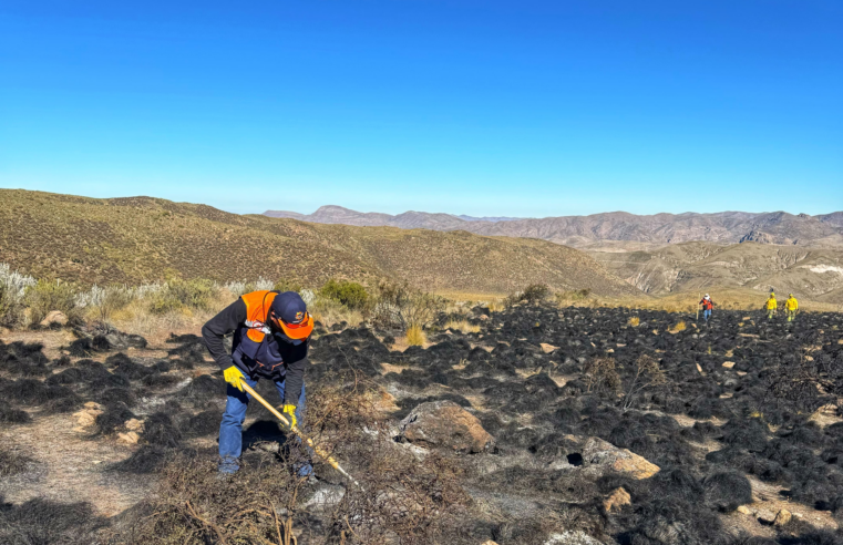 Incendio forestal dañó cobertura vegetal de la Reserva Salinas y Aguada Blanca