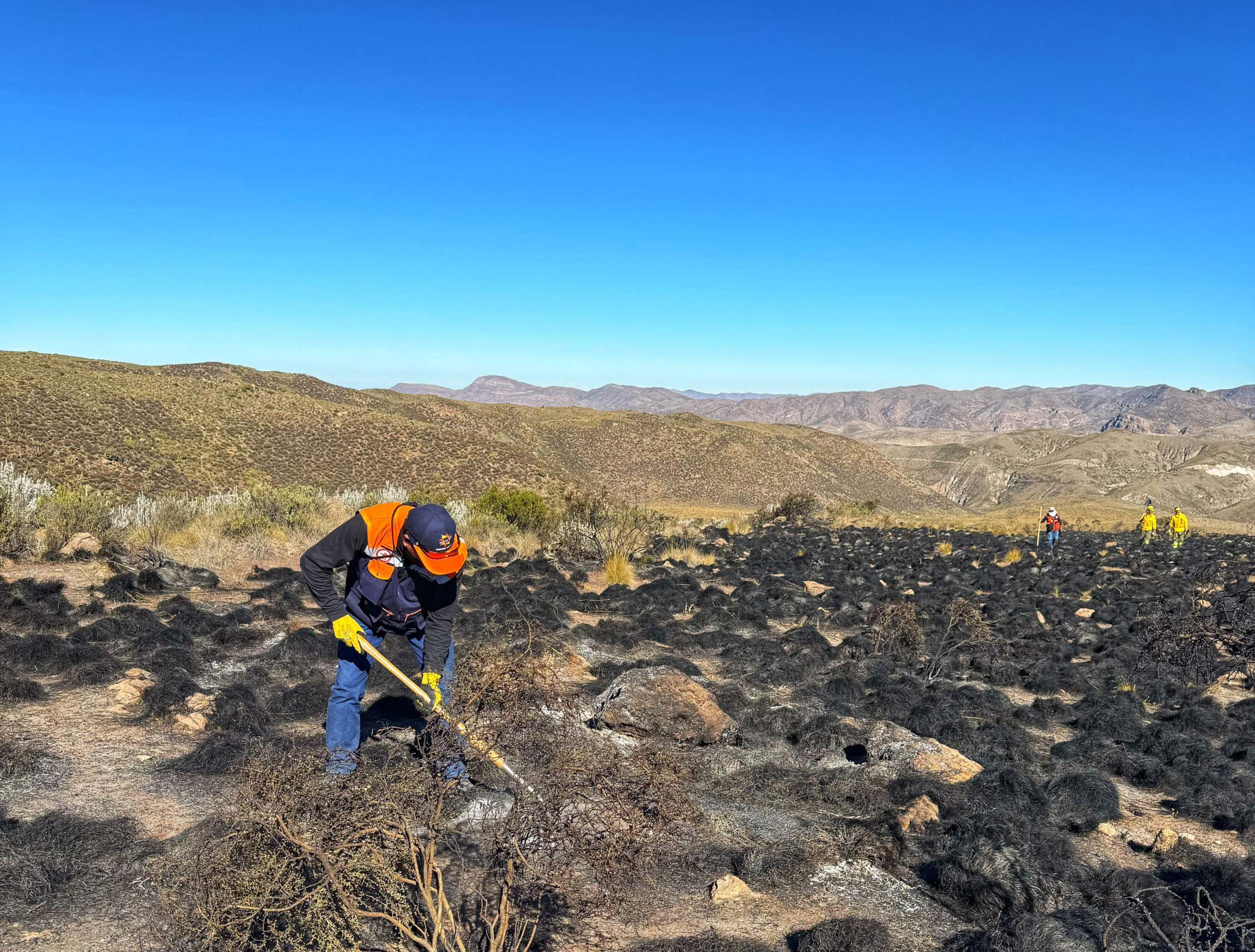 Incendio forestal dañó cobertura vegetal de la Reserva Salinas y Aguada Blanca