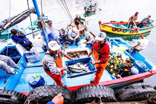 Sanipes entrega 30 habilitaciones sanitarias a pescadores artesanales