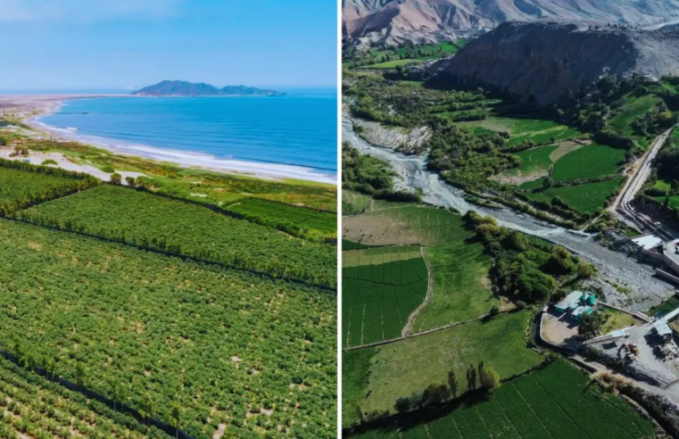 Perú podría duplicar sus agroexportaciones si destraba grandes proyectos de irrigación