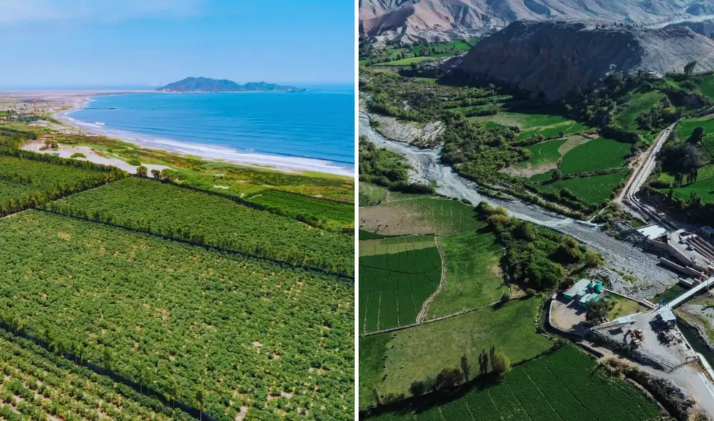 Perú podría duplicar sus agroexportaciones si destraba grandes proyectos de irrigación