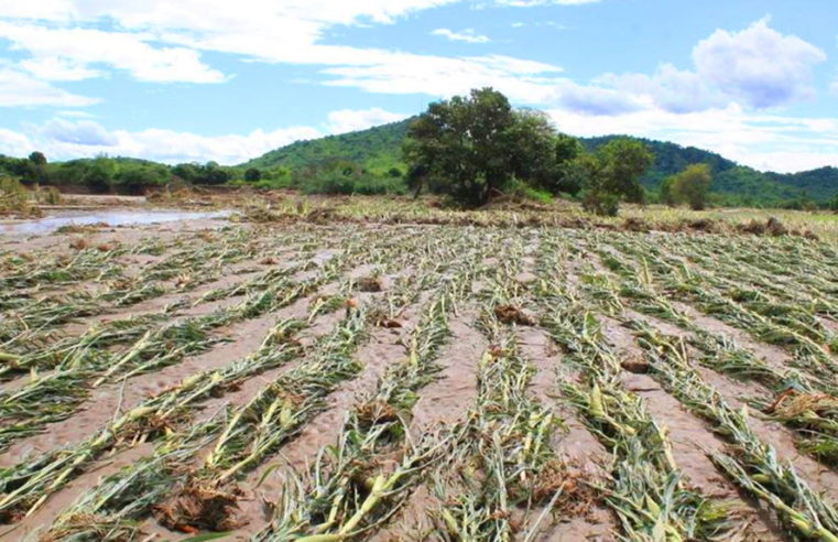 Agricultores piden medidas para afrontar efectos del cambio climático