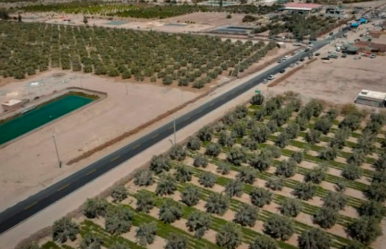 Nueva ley permitirá formalizar tierras agrícolas en zonas de frontera
