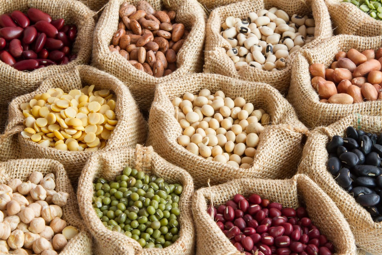 Legumbres, el alimento esencial para combatir la anemia y fortalecer la salud