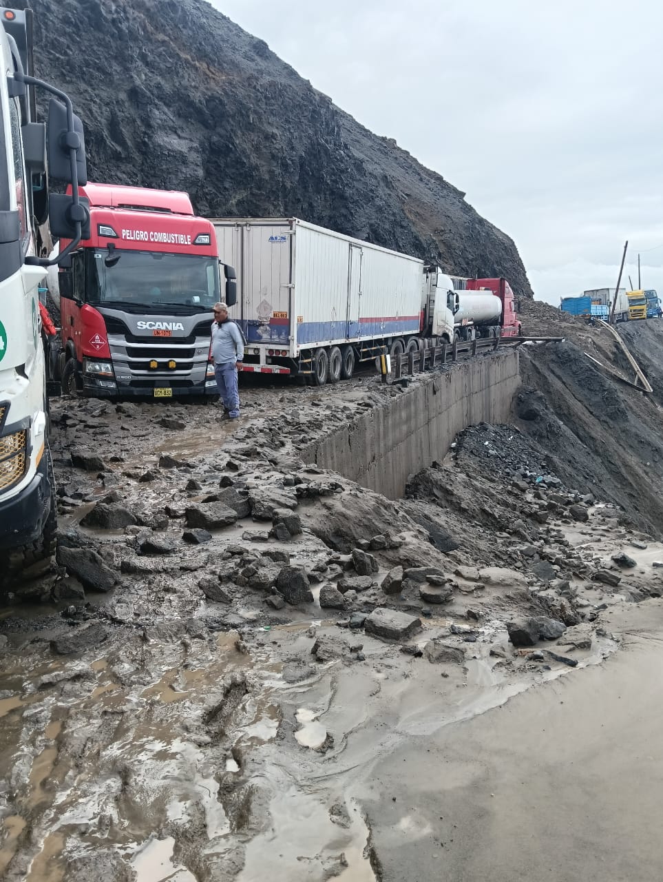 Viajes a Lima se reanudarán a más tardar el jueves