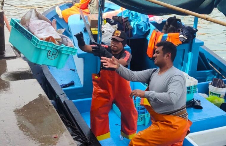 Pescadores artesanales del sur piden al gobierno de Keiko Fujimori fijar cuota diferenciada