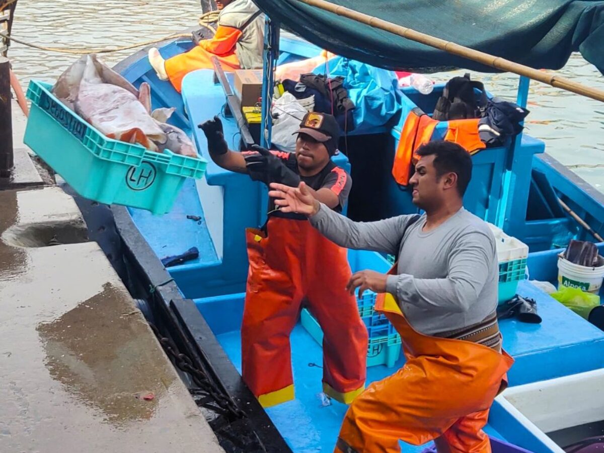 Pescadores artesanales del sur piden al gobierno de Keiko Fujimori fijar cuota diferenciada