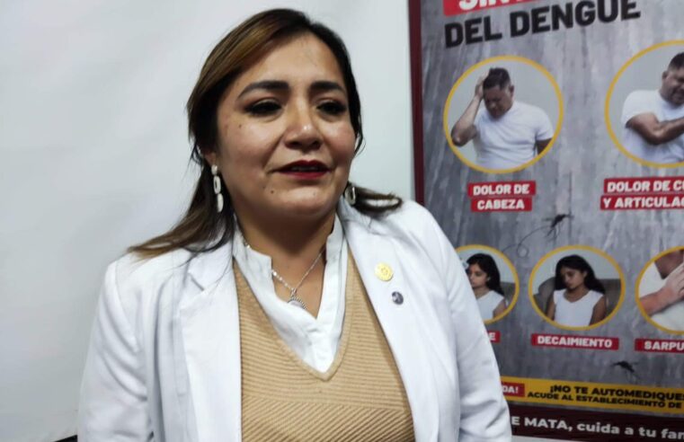 Mordeduras de araña dejan 106 casos y una muerte durante 2026