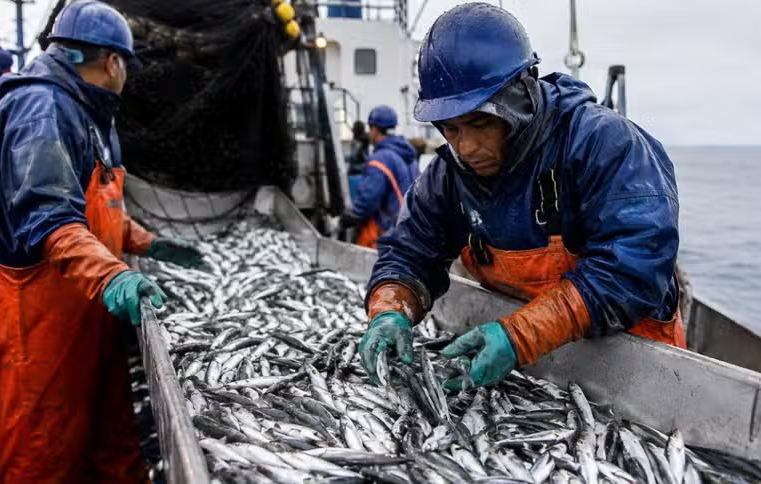 Fenómeno El Niño amenaza más de 78 mil empleos pesqueros