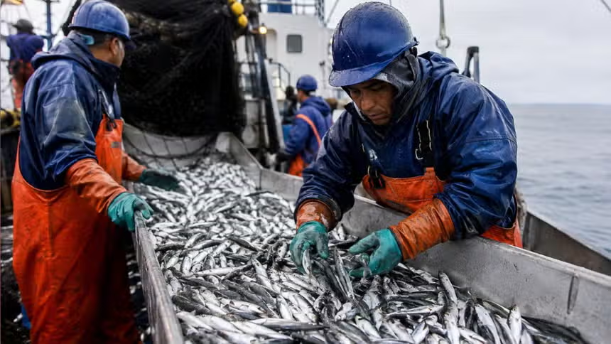 Fenómeno El Niño amenaza más de 78 mil empleos pesqueros