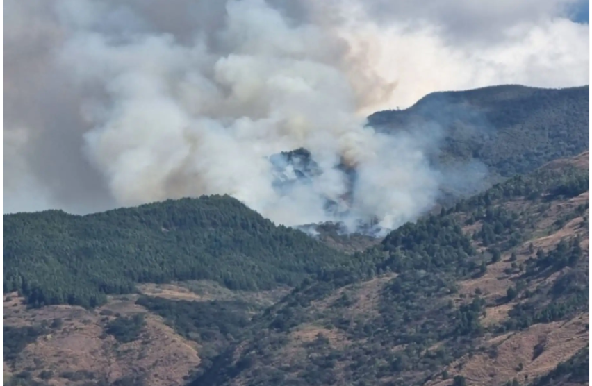 Incendio forestal arrasa plantaciones de pino y vegetación en Quillabamba