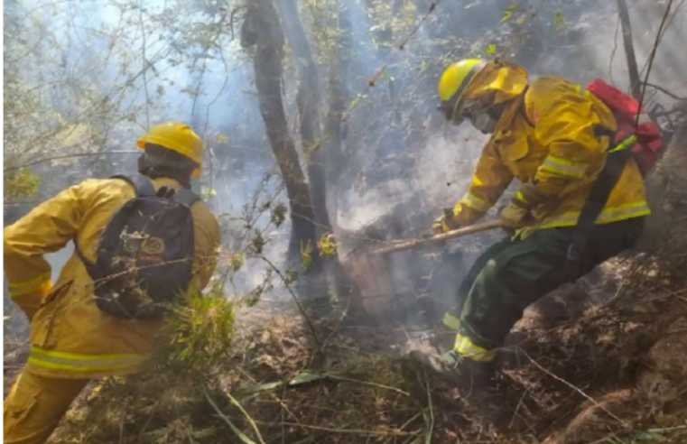 Cierran temporalmente la vía hacia Machu Picchu por incendio forestal