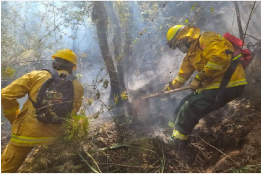Cierran temporalmente la vía hacia Machu Picchu por incendio forestal