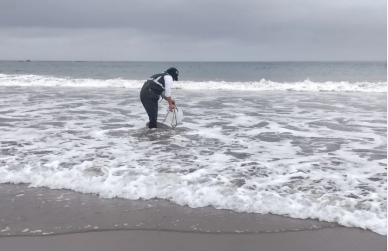 ANA evalúa calidad del agua en el litoral marino