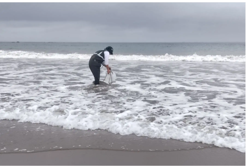 ANA evalúa calidad del agua en el litoral marino