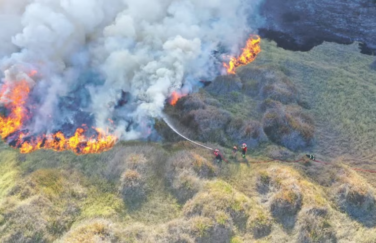 Arequipa registra 31 incendios forestales y más de 3 mil hectáreas destruidas